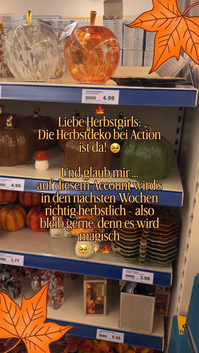 🍁 Es geht wieder los … und ich konnte natürlich nicht widerstehen. 🤎, Bei Action ist bereits die erste Herbstdeko eingezogen und ich musste einfach stöbern. 🍂🍄✨, Wer mich schon länger begleitet, weiß: