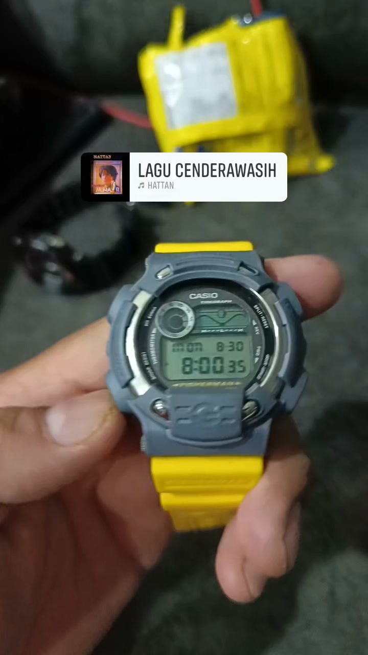 The Casio G-Shock DW-8600 