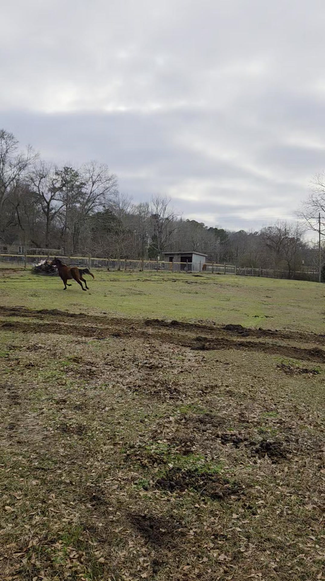 Please excuse the noise of the tractor because I was trying to move ...
