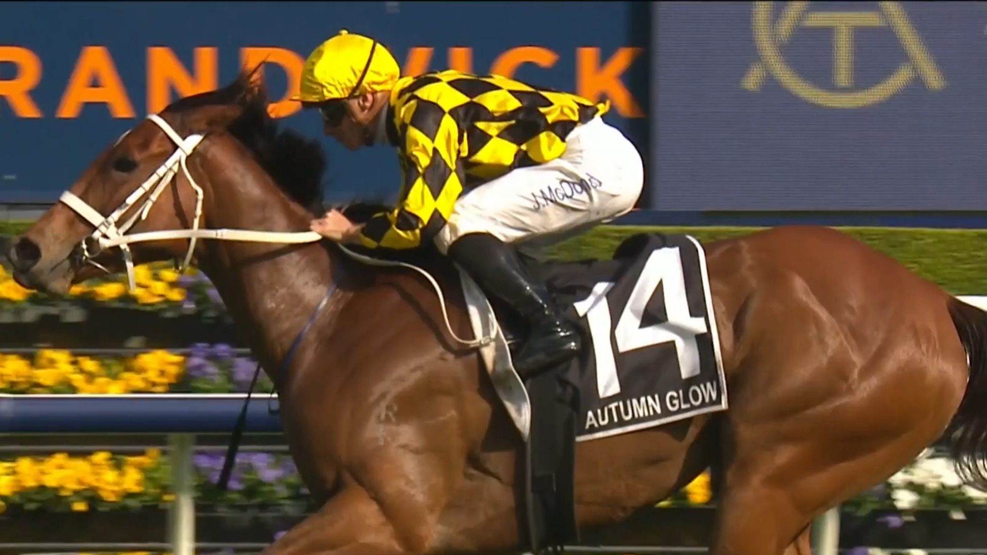 Trainer Chris Waller discusses Autumn Glow’s success ahead of Saturday ...