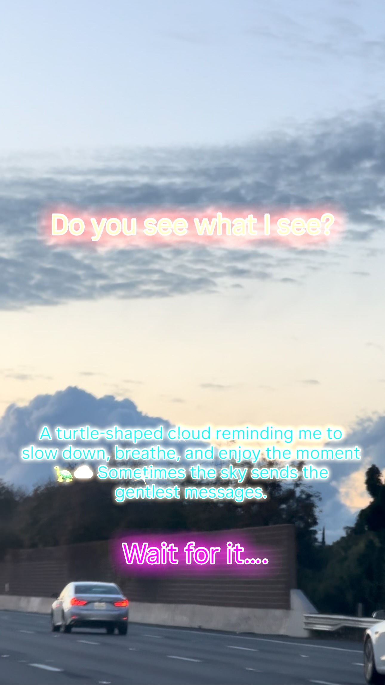 A turtle-shaped cloud reminding me to slow down, breathe, and enjoy the ...