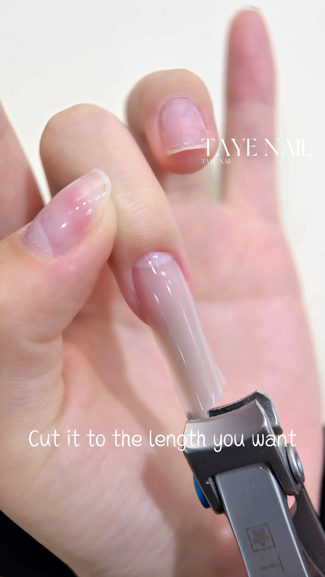 TAYE Nail Brand | Guangzhou