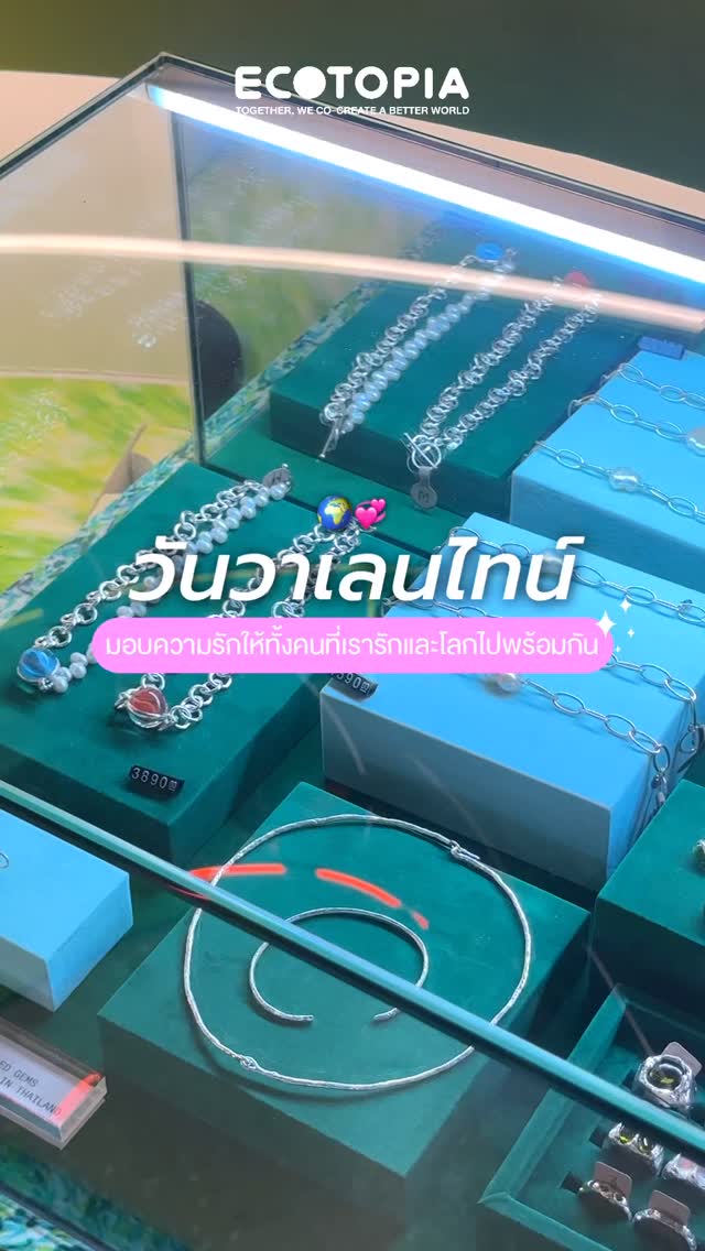 Ecotopia - เปลี่ยนห้องตัวเองให้ร่มรื่นสบายตาต้นมอนสเตอร่า และต้นไม้ ...
