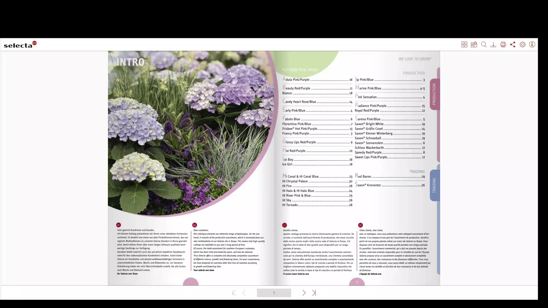 🌸 NEW Hydrangea catalogue 2026 🌸 Find the online catalogue here: https ...