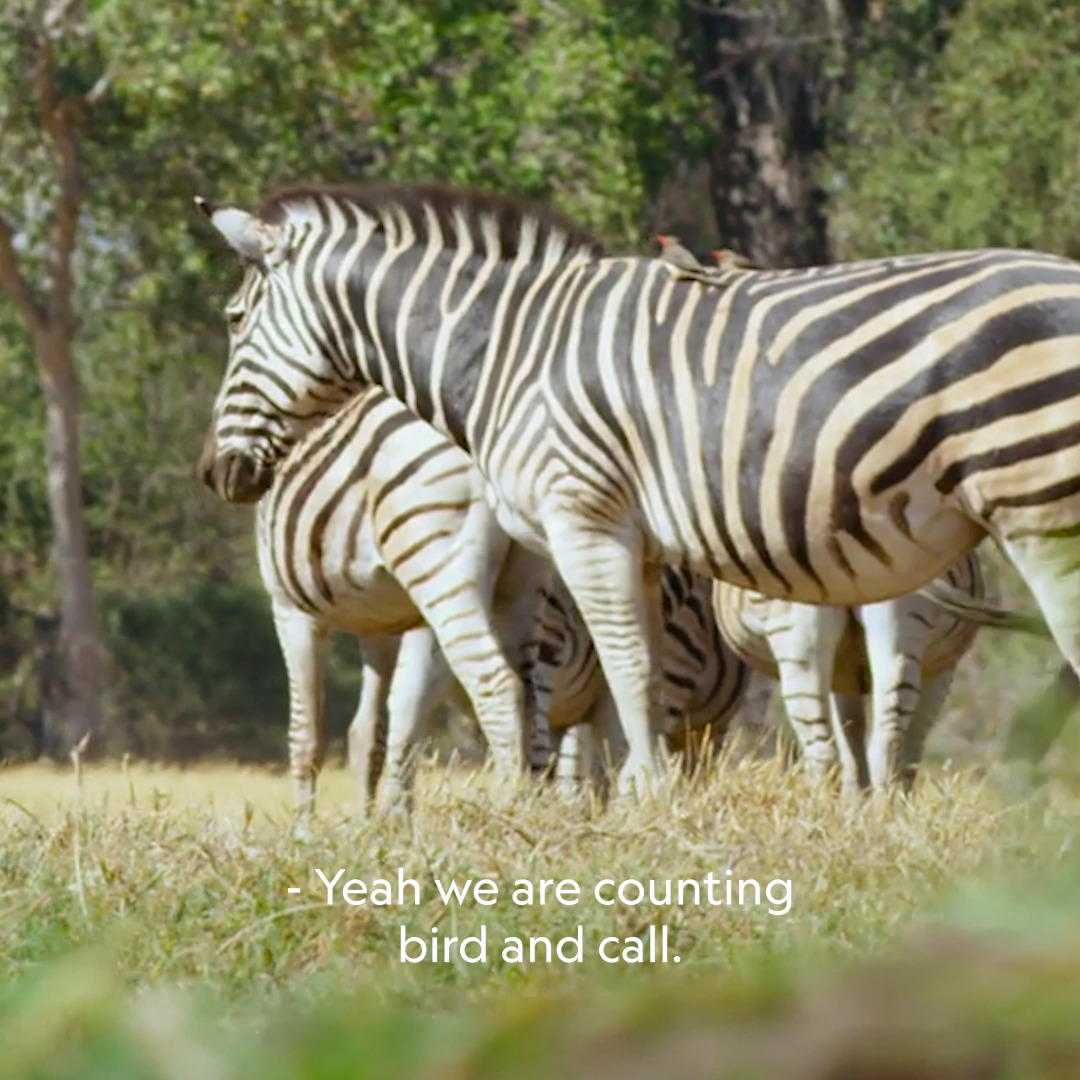 The Okavango River Basin provides a vital source of water to one of the ...