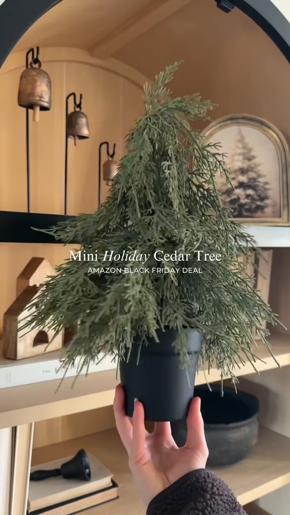 Black Friday Deal! 🚨 I have this little Amazon mini cedar tree in ...