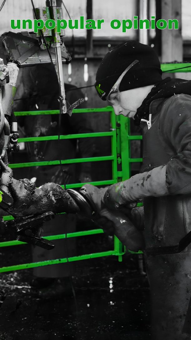 In dairy cows, hoof health isn’t one-size-fits-all. Weight distribution ...