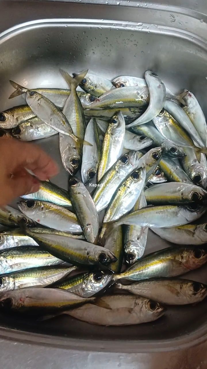 Mabilisang paglinis ng matambaka 🎣🐟 #fishing #fyp | Kapadli vlogs ...