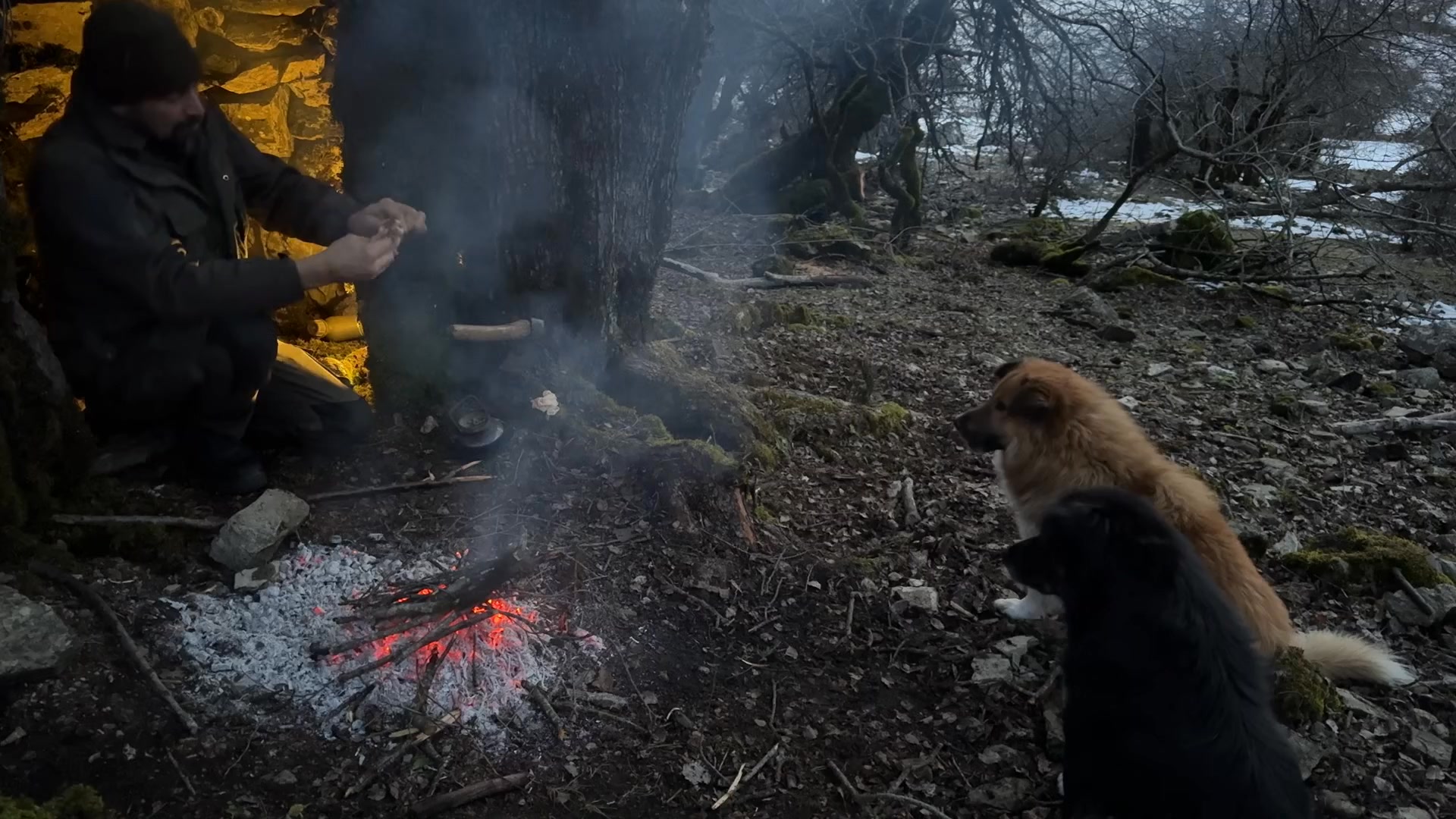 Solo Winter Survival in the Mountains ｜ Primitive Shelter & Fire ...