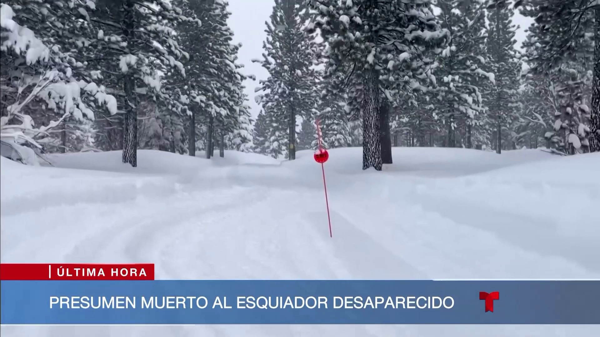 ️ Hallan muertos a ocho de los nueve esquiadores desaparecidos tras una ...