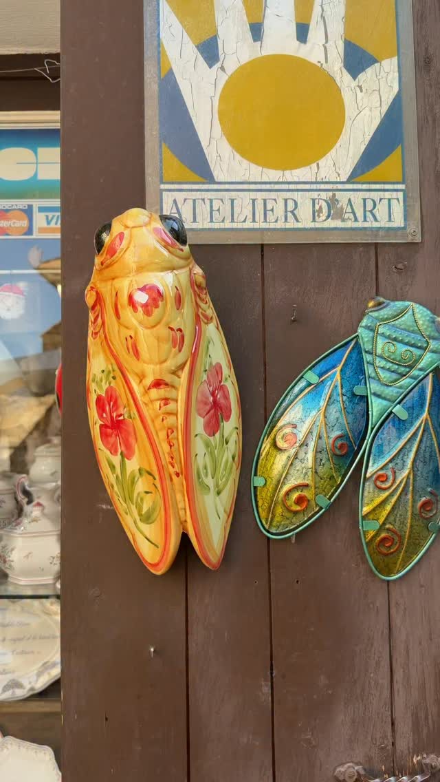 なぜ南フランスにはセミのお土産がこんなに多いの？🐞☀️ 南フランス
