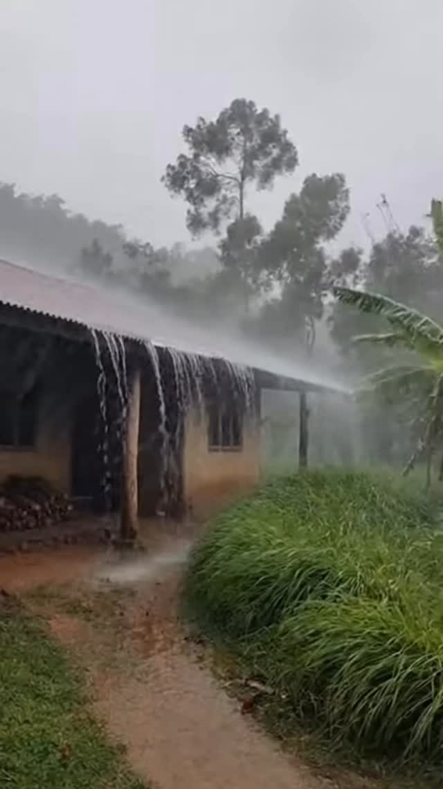 Village house with natural rain falling gently, peaceful and real 🌧️🏡 ...