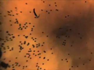 The M1028 Canister Cartridge is a... - Tanks. Being tanks.