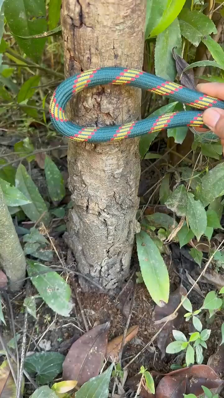 Filling the Gaps_ Perfect Tile Grouting Process#rope #knot # ...