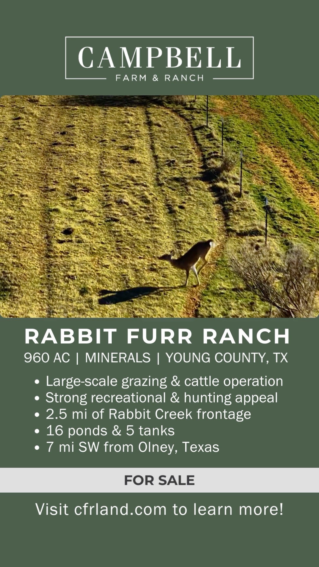 960± acres in Young County, Texas Rabbit Furr Ranch is the kind of ...