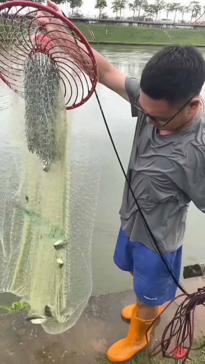 disc fishing net Amazon.com : XINKEGF Transparent Hand Throw Rotary Net Tire Line Foldable Bait Trap Fish Net (Multi-Size Optional) (Color : Lead, Size : Height 2.1m) : Sports & Outdoors 01 Hand Rope Handline for Disc Casting Strong and Unveiling the secrets of the