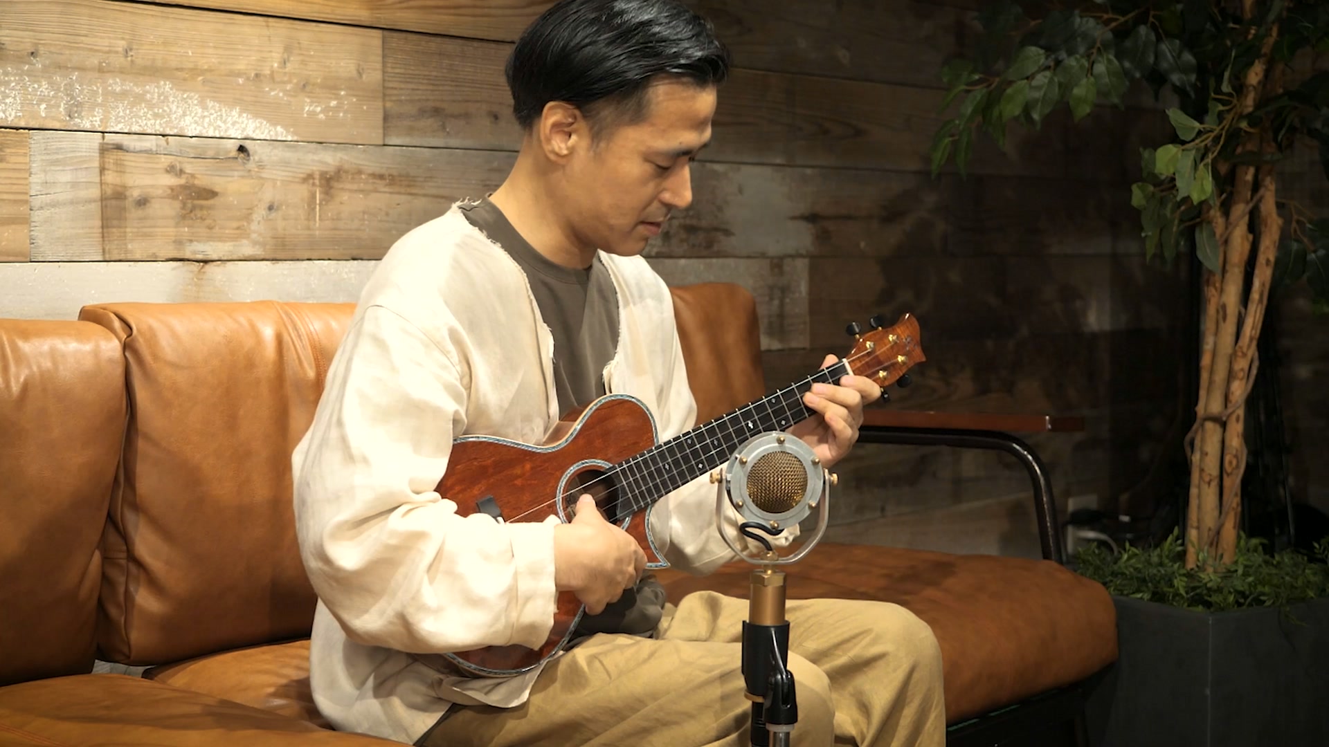 Dolphin Guitars(ドルフィンギターズ） | Suita-shi Osaka