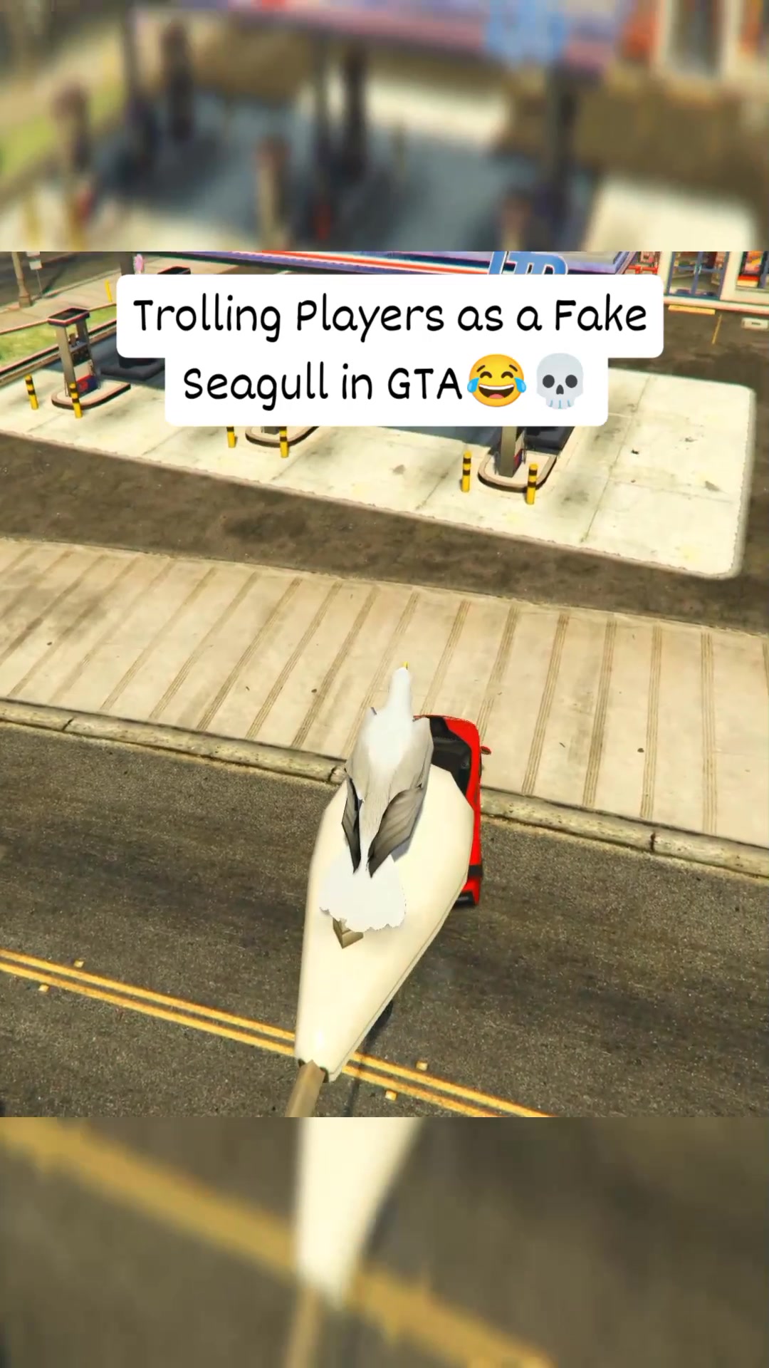 Trolling Players as Fake Seagull in GTA V 😂💀 #gtaviral #gtaonline # ...