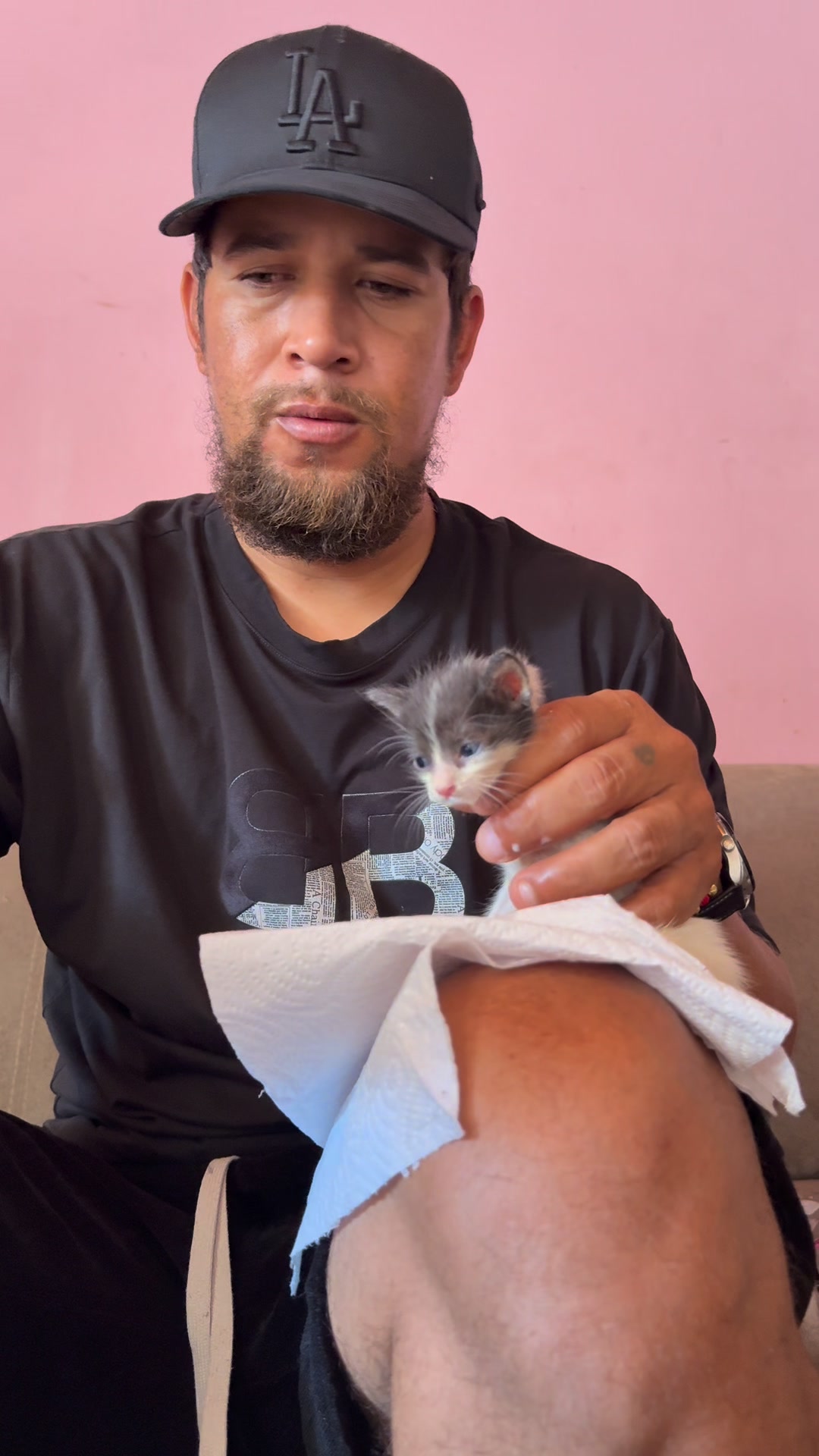 4 veces al día nos toca darles Taty rescata ️‍🩹🐱 | Mono Martinez | Facebook
