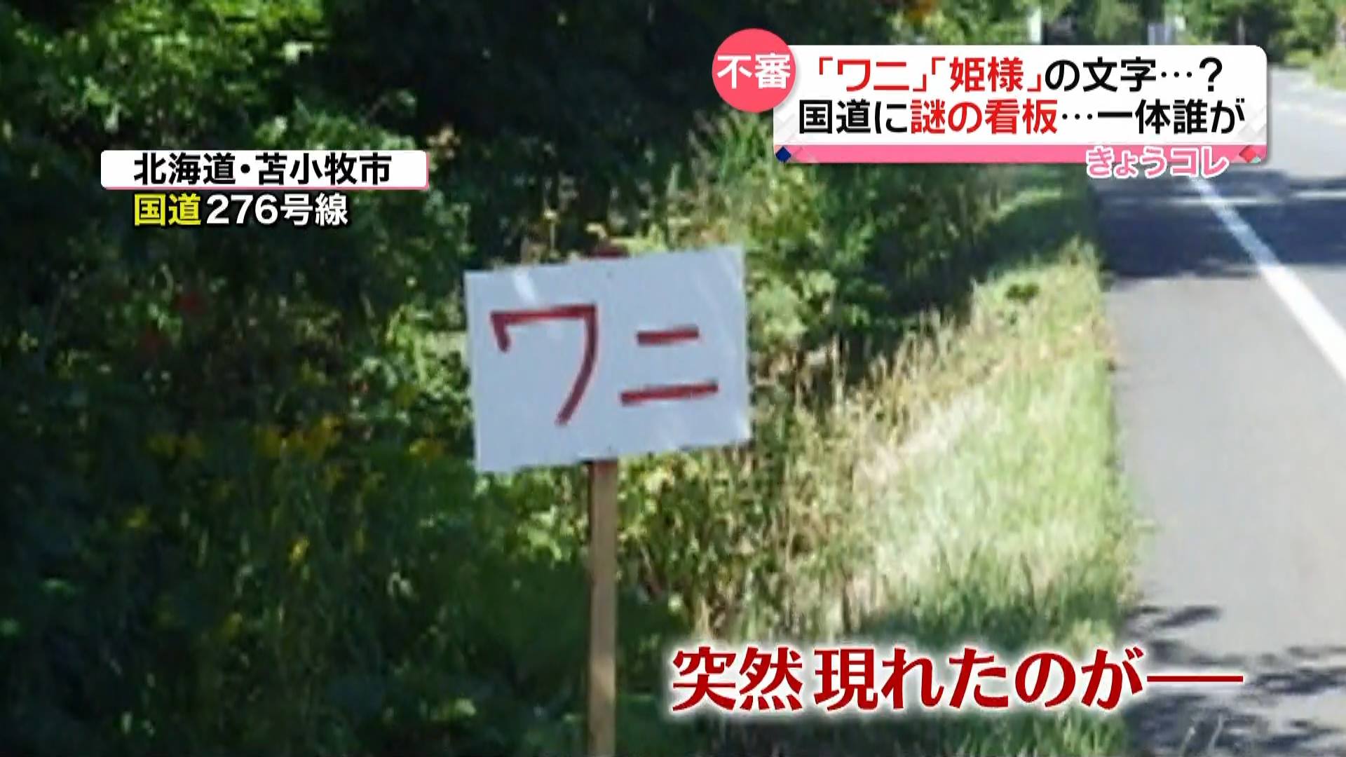 ワニさんの看板セット ワニさんの看板セット | ヤマダウェブコム
