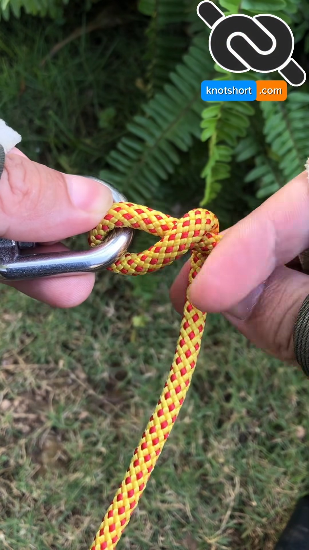Visual Reference: An Easy And Practical Ring Knot For Everyday Use Knotshort