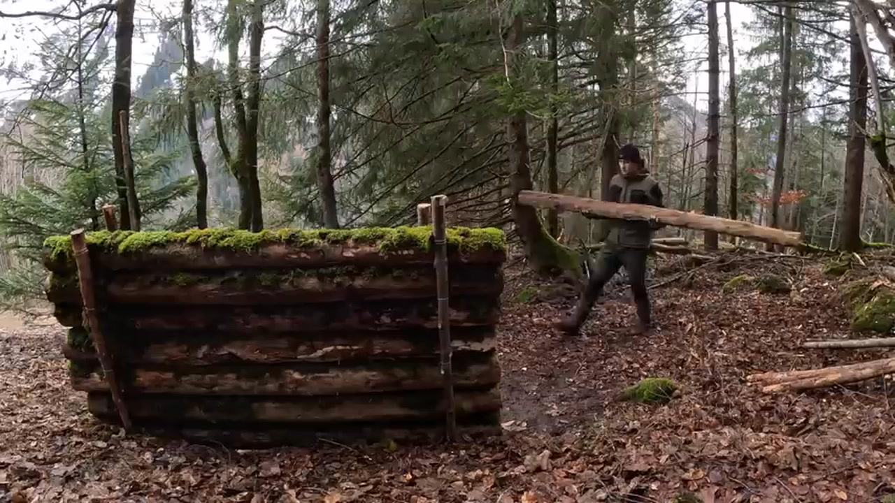 Building a Bushcraft Log Cabin for Survival - Catch & Cook - Start to ...