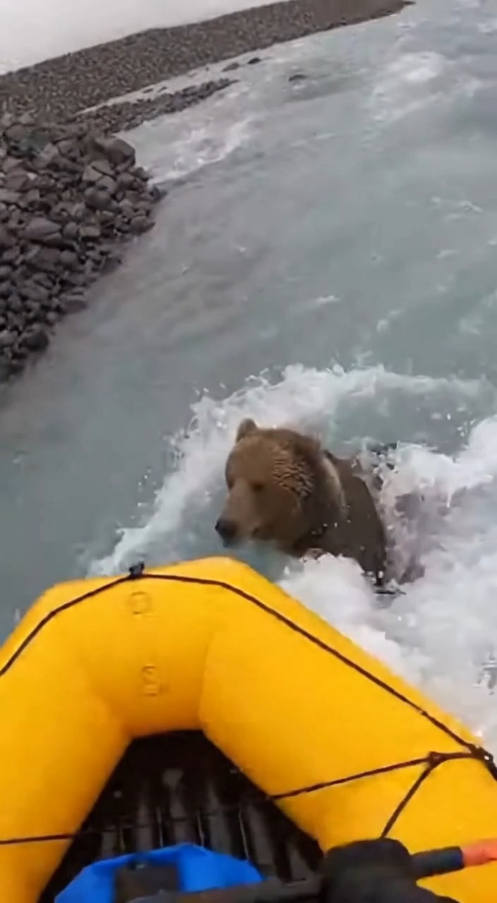 He’s flying down a glacial river in a tiny raft when he realizes a ...