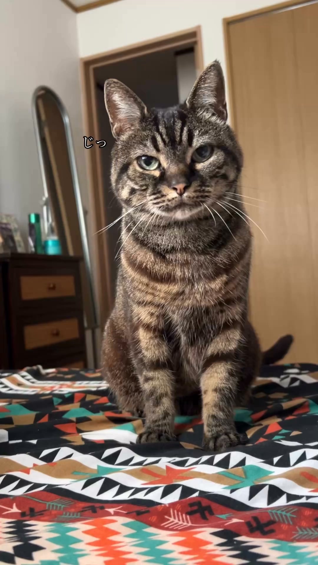 にゃん助さん