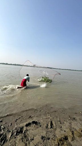 SHOCKING Net Haul! We Found Gold (Fish) in the River! #Shocking # ...