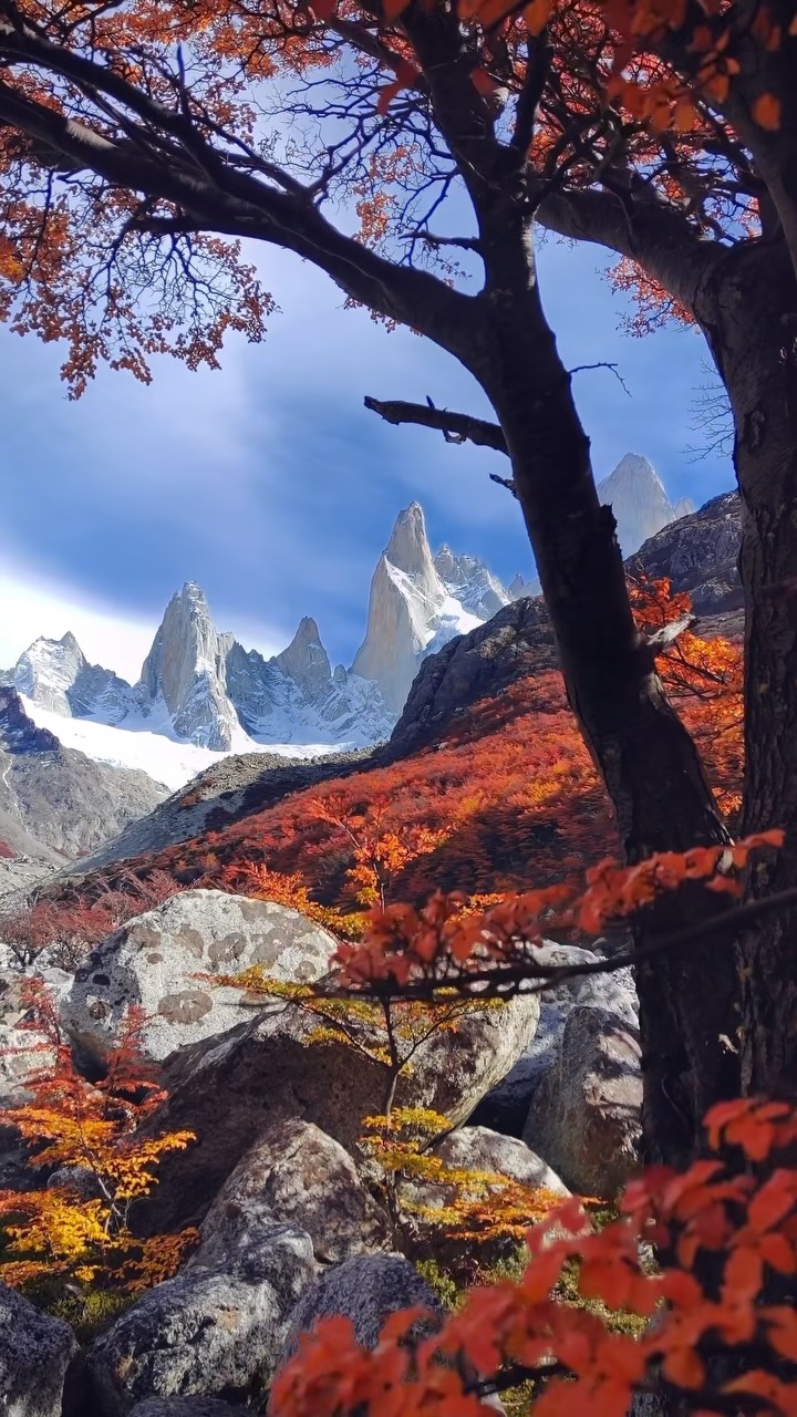 📷 2027 Patagonia Photo Tour👇 Autumn colors in Patagonia are