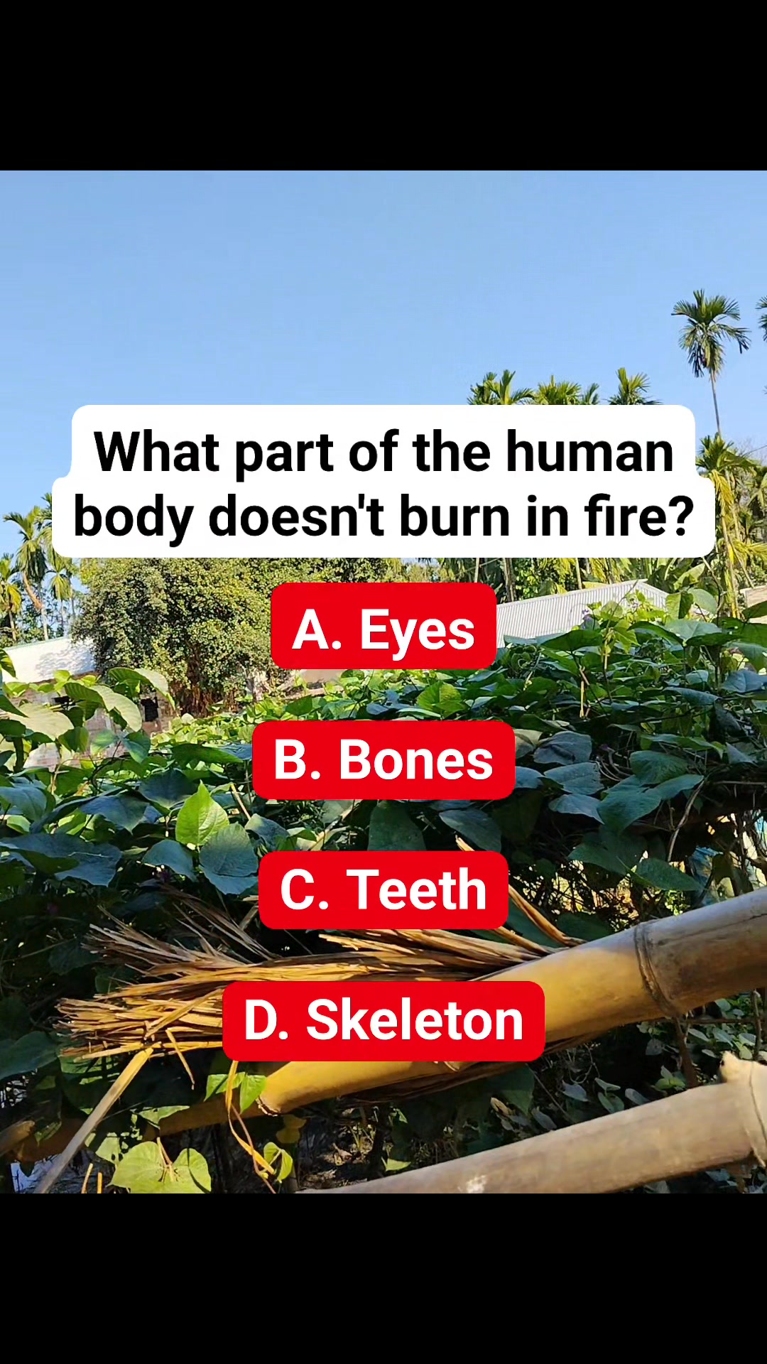 #riddle #puzzle #reels | Puzzle Point 2.0 | Facebook