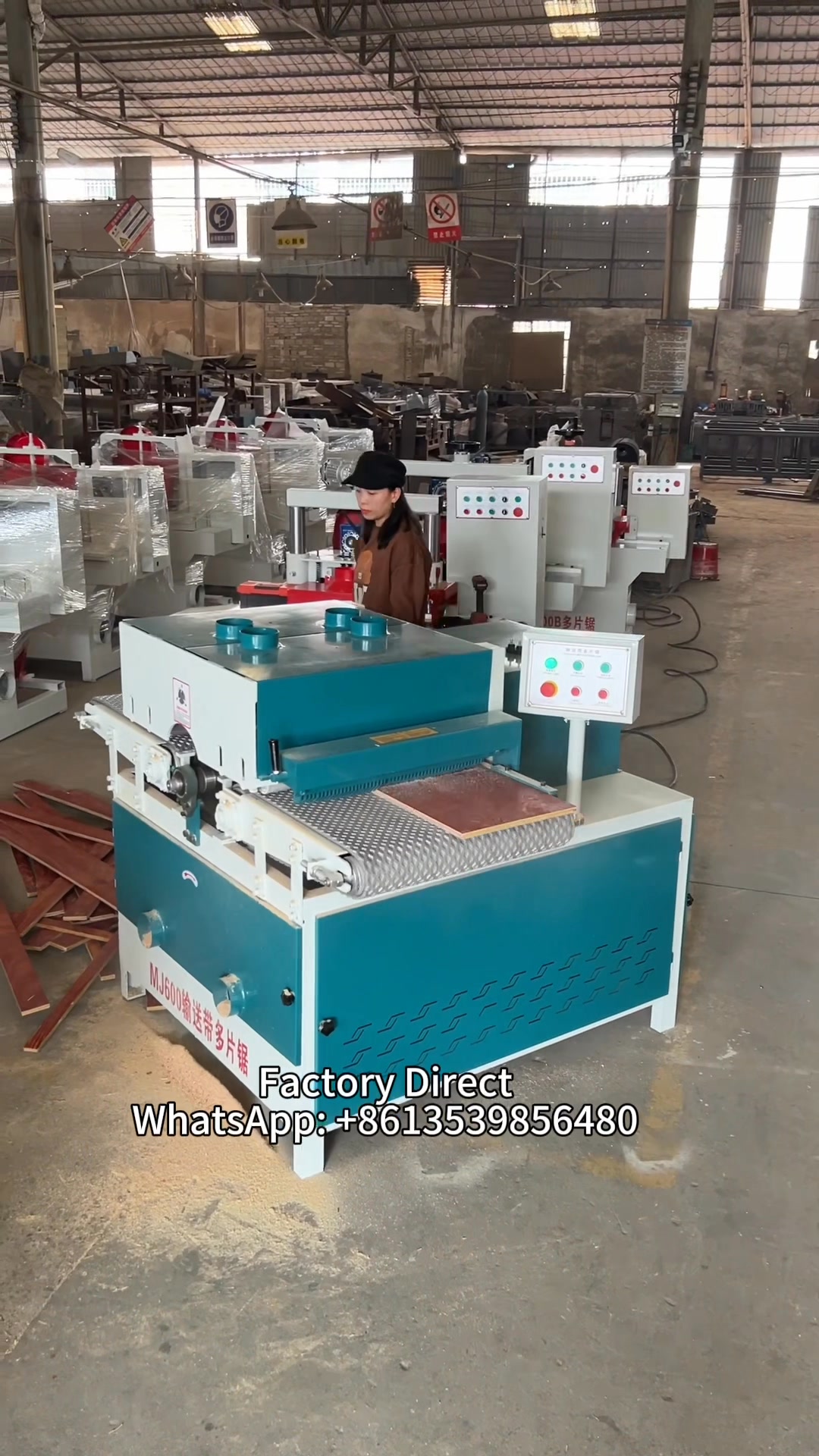 Muti saw blades machine. High efficiency! #woodworking #fyp #foryou # ...