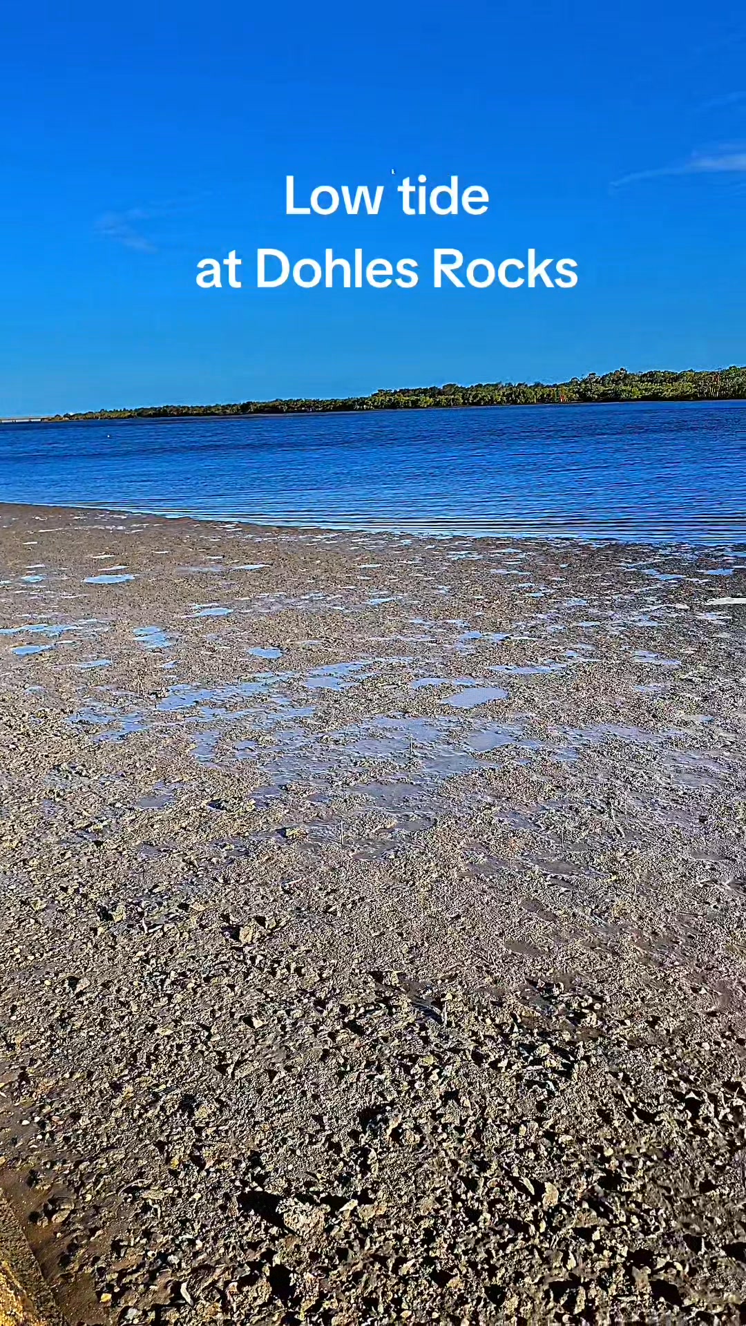 Low tide at Dohles Rocks #landbasedfishing #dohlesrocks #fishing # ...