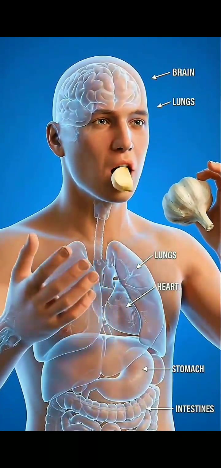 What happens while you drink Garlic inside your body ? #viral # ...