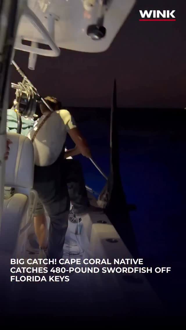CATCH OF A LIFETIME 🎣🔥 A Cape Coral native reeled in a 480-pound ...