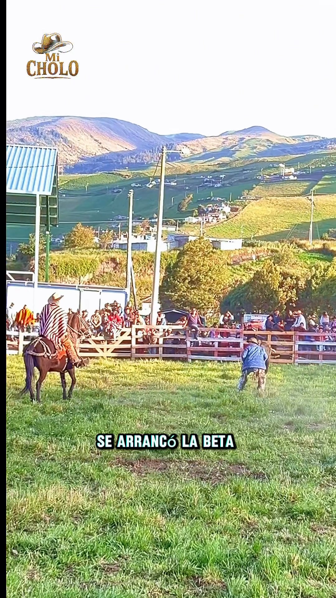 Buenos Chagras 🤠 #reelsviral #rodeo #EEUU | MiCholo | Facebook