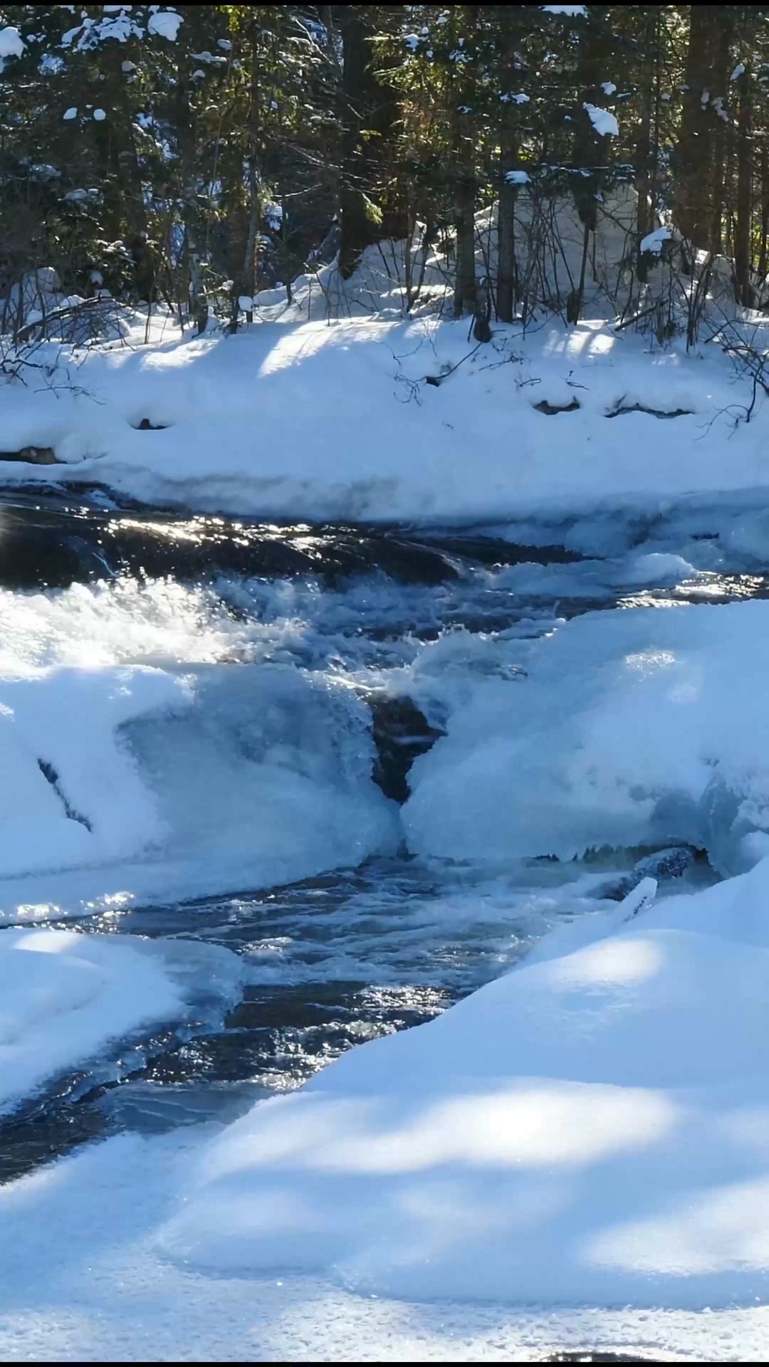 A winter adventure to remember ️🥾 We hiked through the snowy trails at ...