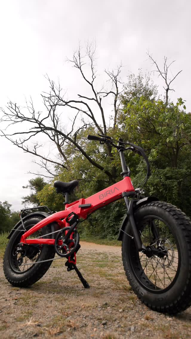 kinderfahrrad 24 zoll fully BIKESTAR Kinder Fahrrad Aluminium Mountainbike 21 Gang Shimano, Scheibenbremse ab 9-14 Jahre | Kinderrad Vollgefedert MTB hardwood tools Lens Selection:AMPLIFIER - GOLD CHROME Air Gear, Vol. 22