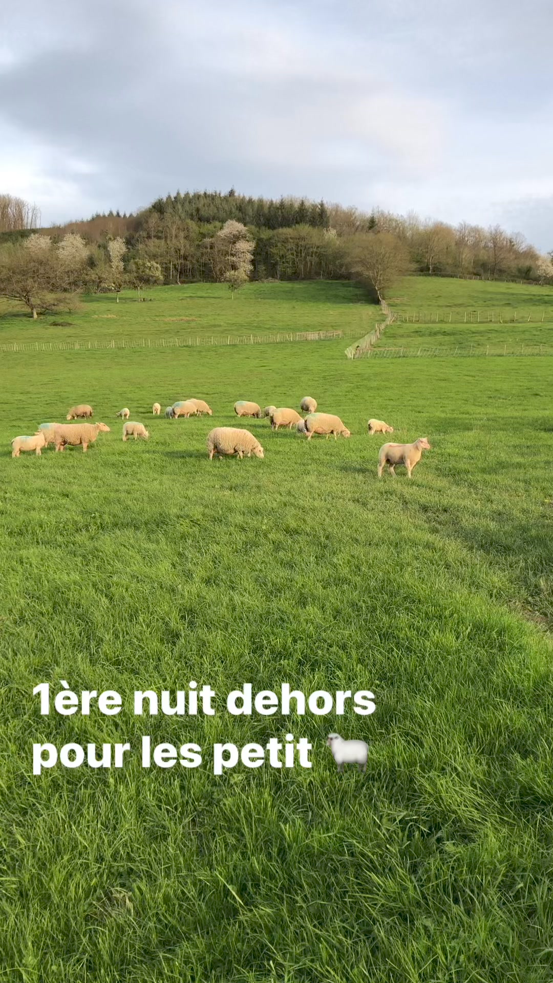 La Ferme Des Aubépins | Sainte-Cécile