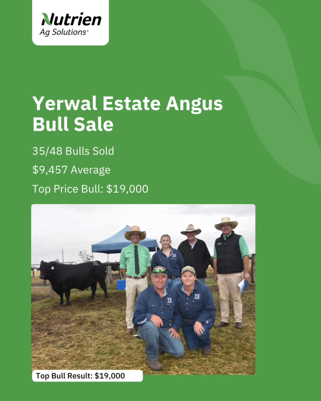 YERWAL ESTATE ANGUS BULL SALE Yerwal Estate Simmental & Angus Stud ...