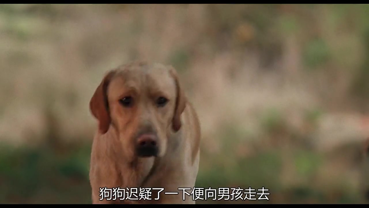 好电影 在这里