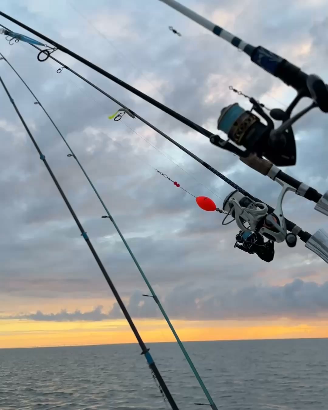 who makes penn fishing reels INT50VISWS International VI Silver Reel Size:1/6 oz. DIY Fish Breeding Box Line capacity rings on Daiwa Fishing Reel Bearing Kits