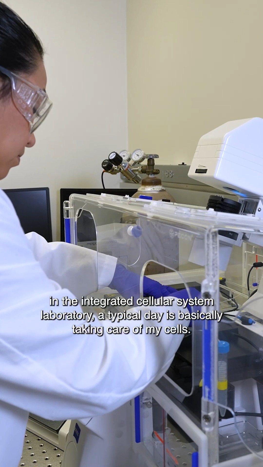 Organ on a Chip: FDA Research Uses Human Heart Cells for Drug Testing
