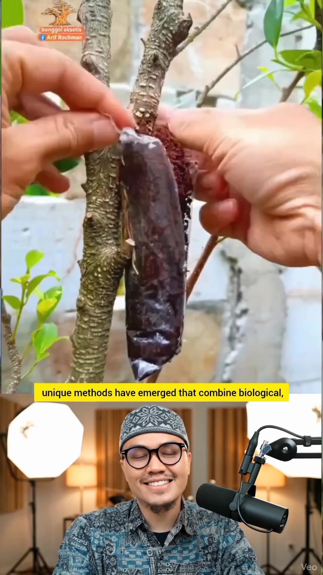 Plant cultivation with unique methods 🌱🌱 | Addy Abi Rumi | Facebook