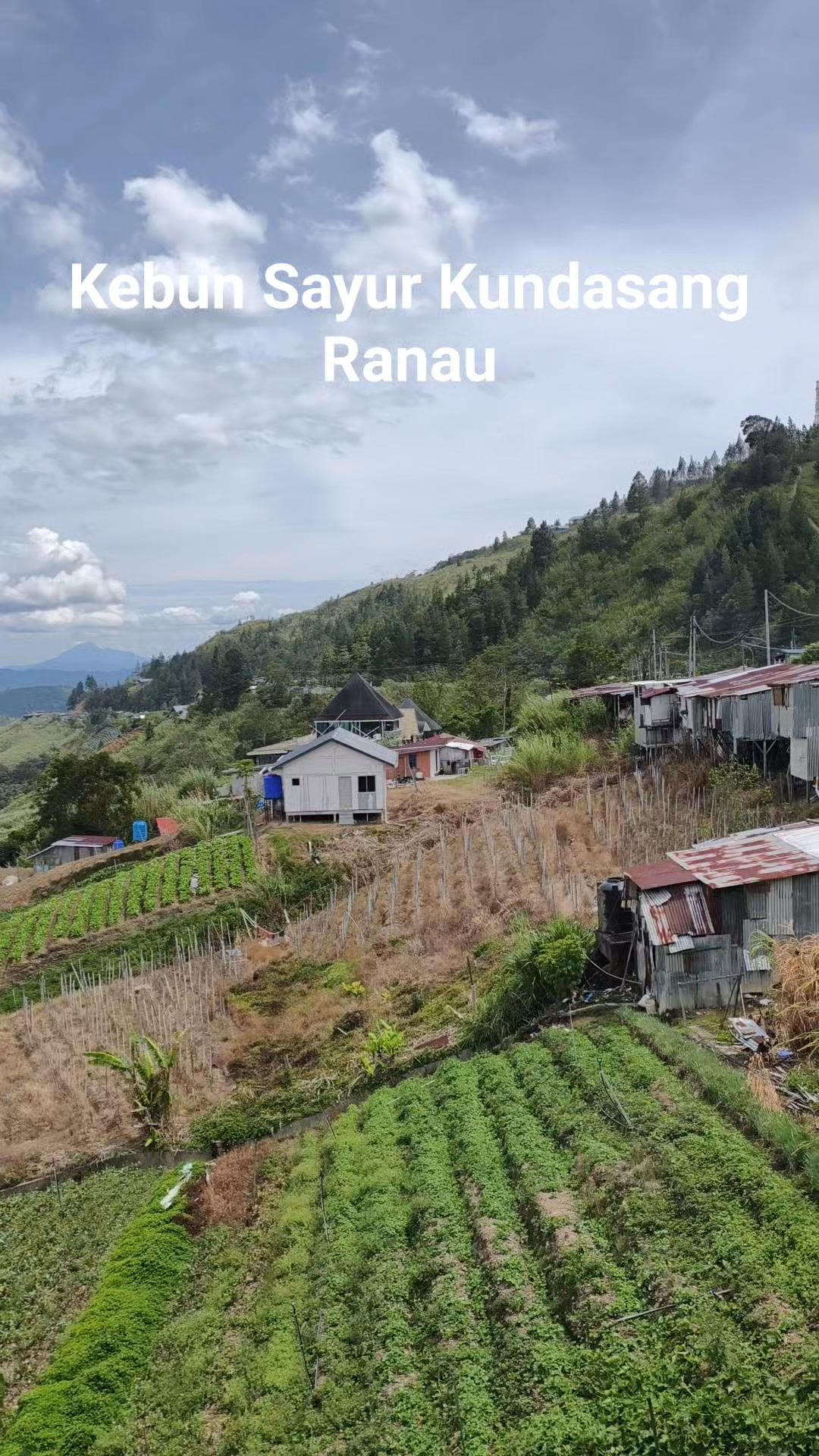Kebun Sayur Kundasang, Ranau. Indahnya kalau ada rumah disini boleh ...