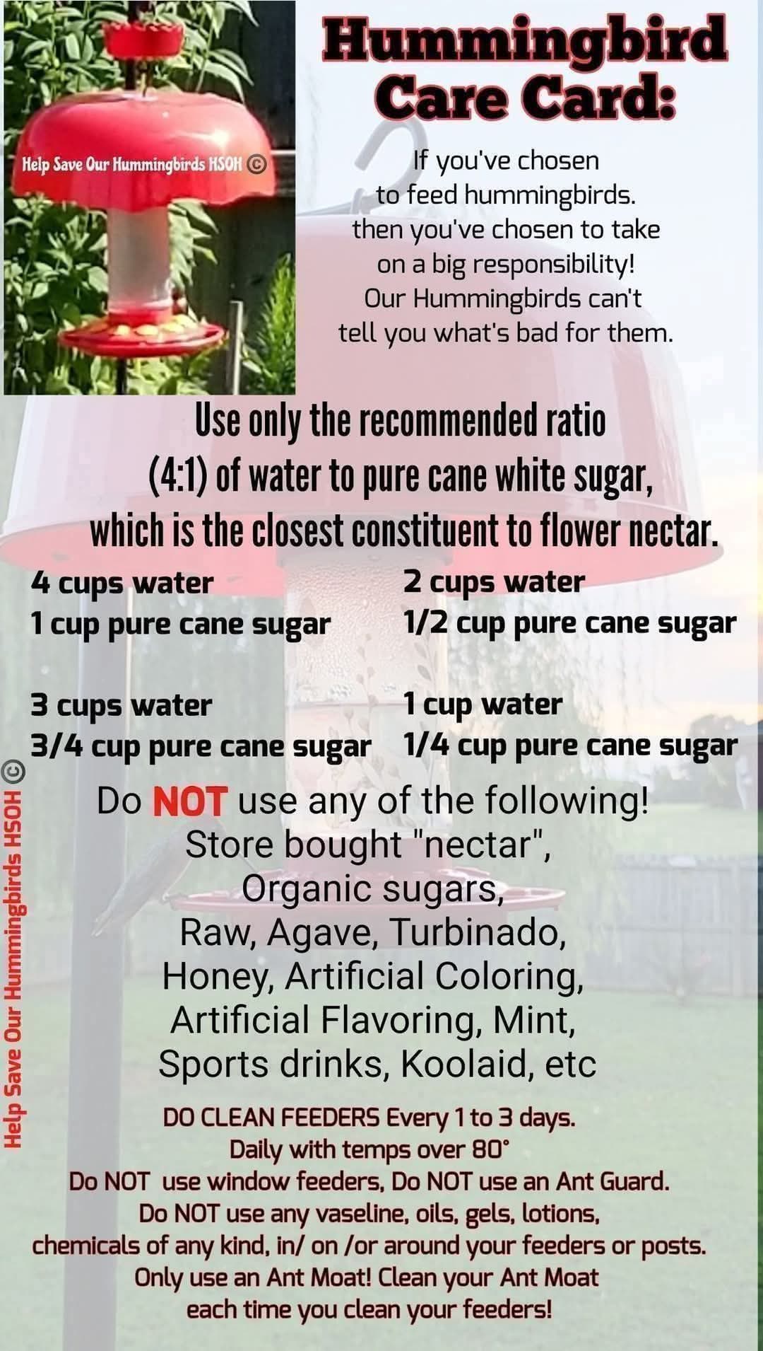 Help Save Our Hummingbirds HSOH