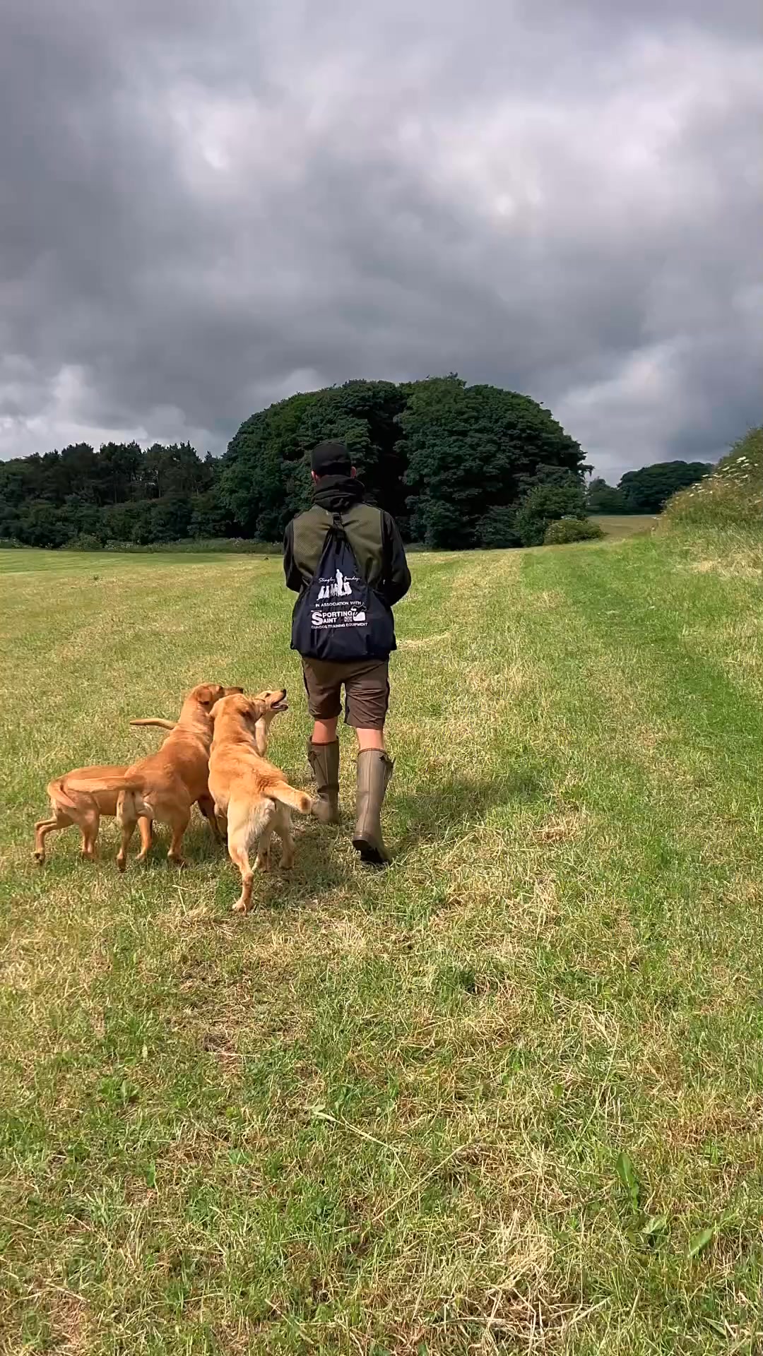 Bit of fun with Sika and Piper with Dad Fergus and Mam Ruby puppies # ...