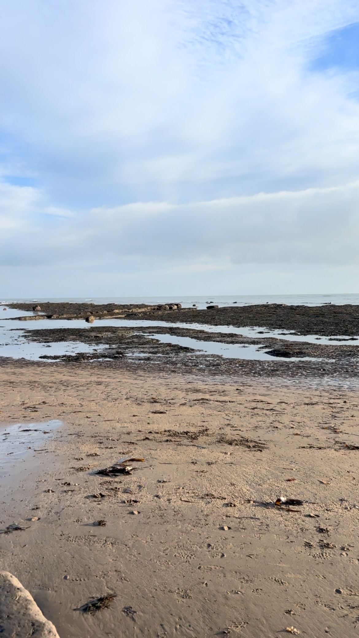 Such a beautiful morning for a quick stroll on the beach before the ...
