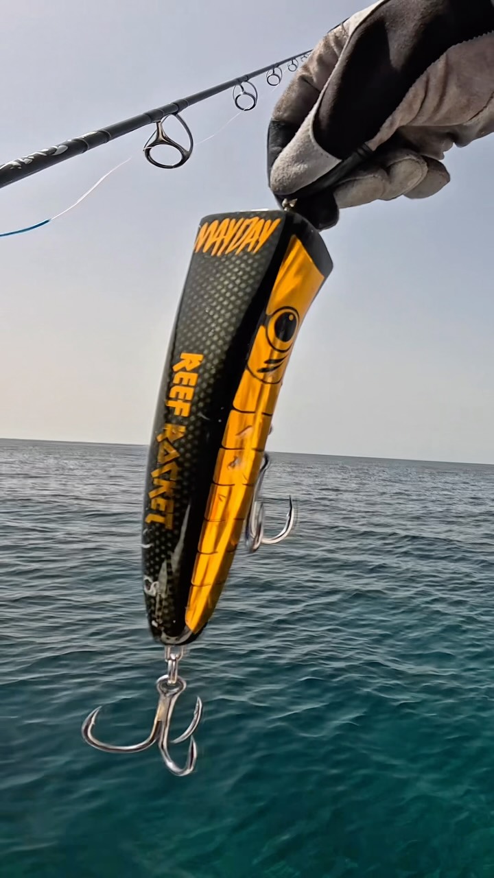 Nothing beats the run of a hooked monster Rod : Zenaq Accura Defi