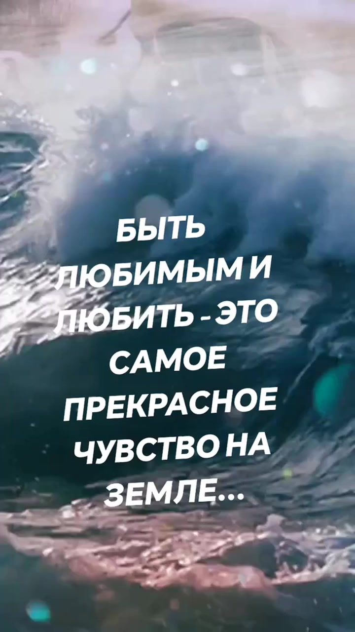 Михаил Вайдич on Reels | Facebook